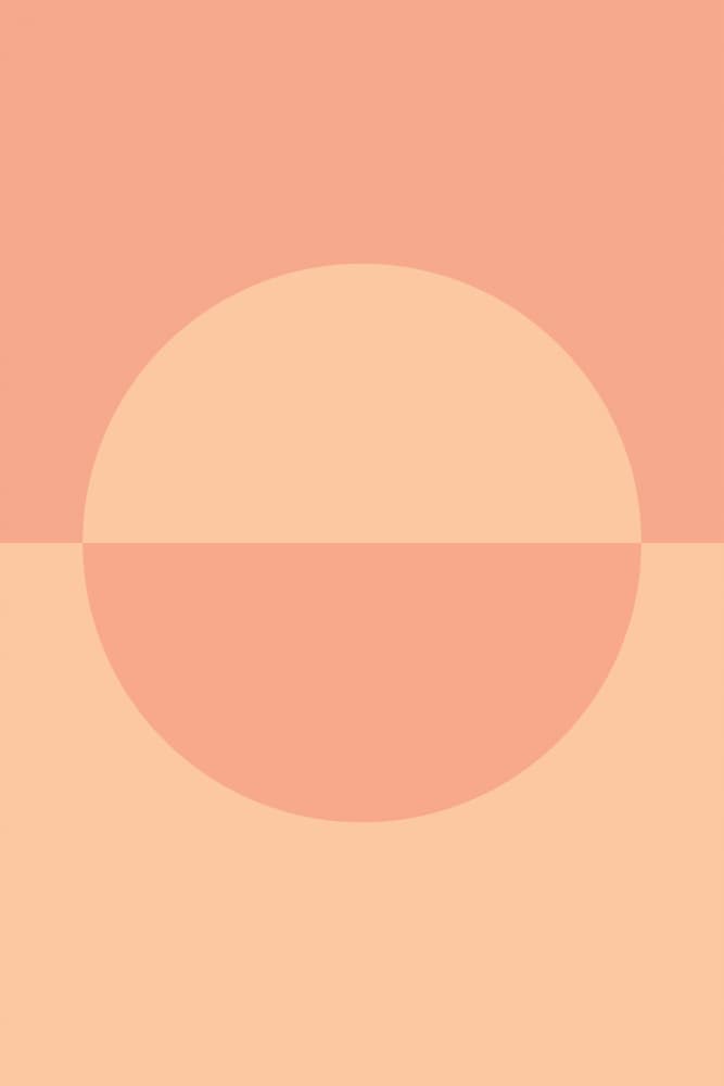 Minimalist Peach Circle by Old Artists Studio — canvas wall art