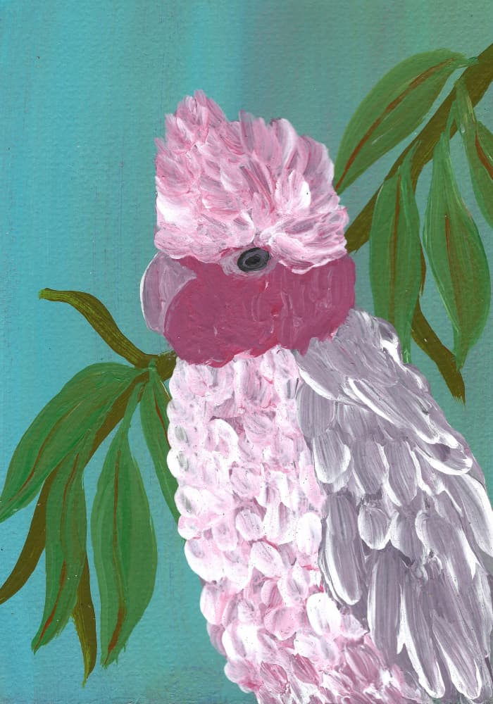 Vibrant Pink Cockatoo by Janine Brewster — canvas wall art
