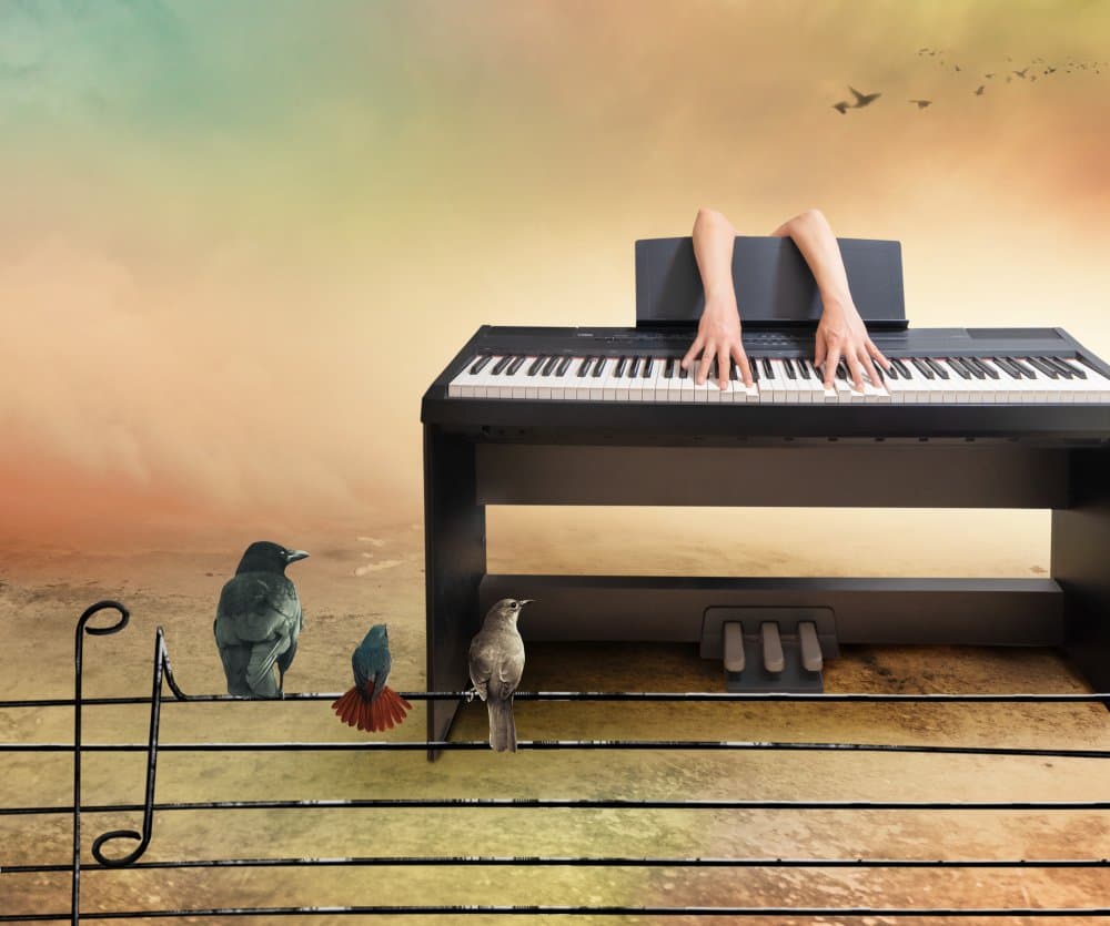 Musical Hands Birds Nature by Biao  Huang — canvas wall art