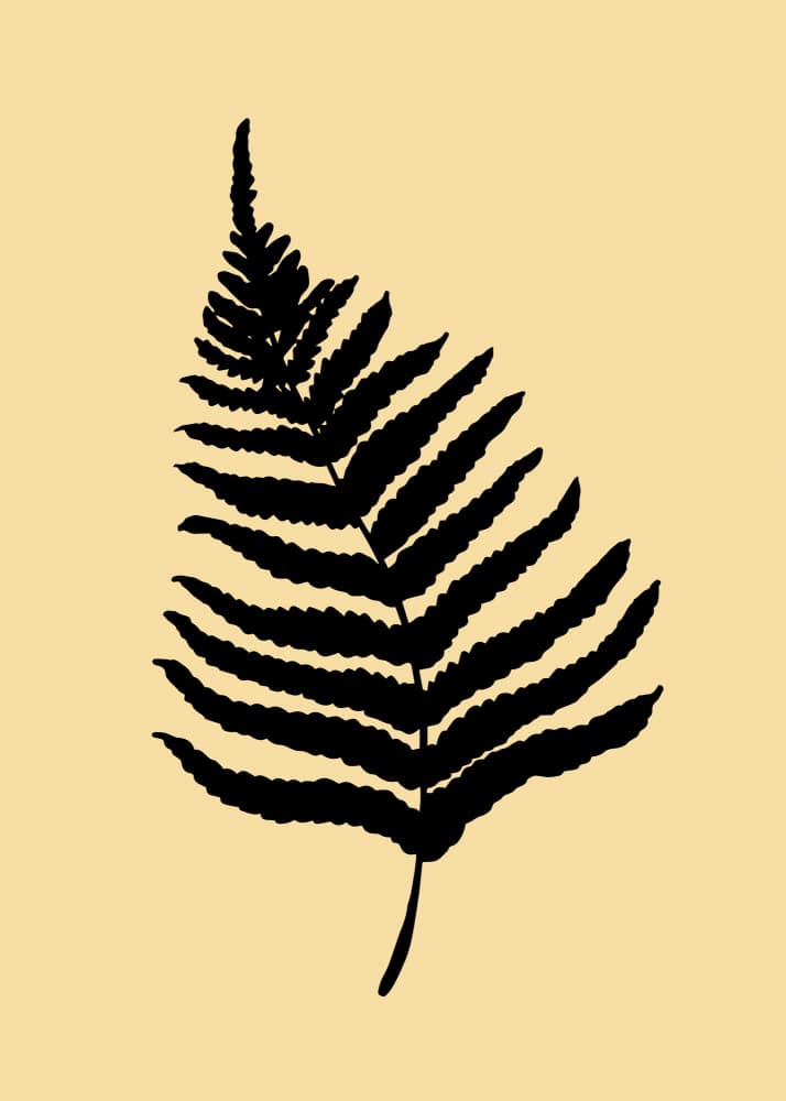 Elegant Fern Silhouette by Old Artists Studio — canvas wall art