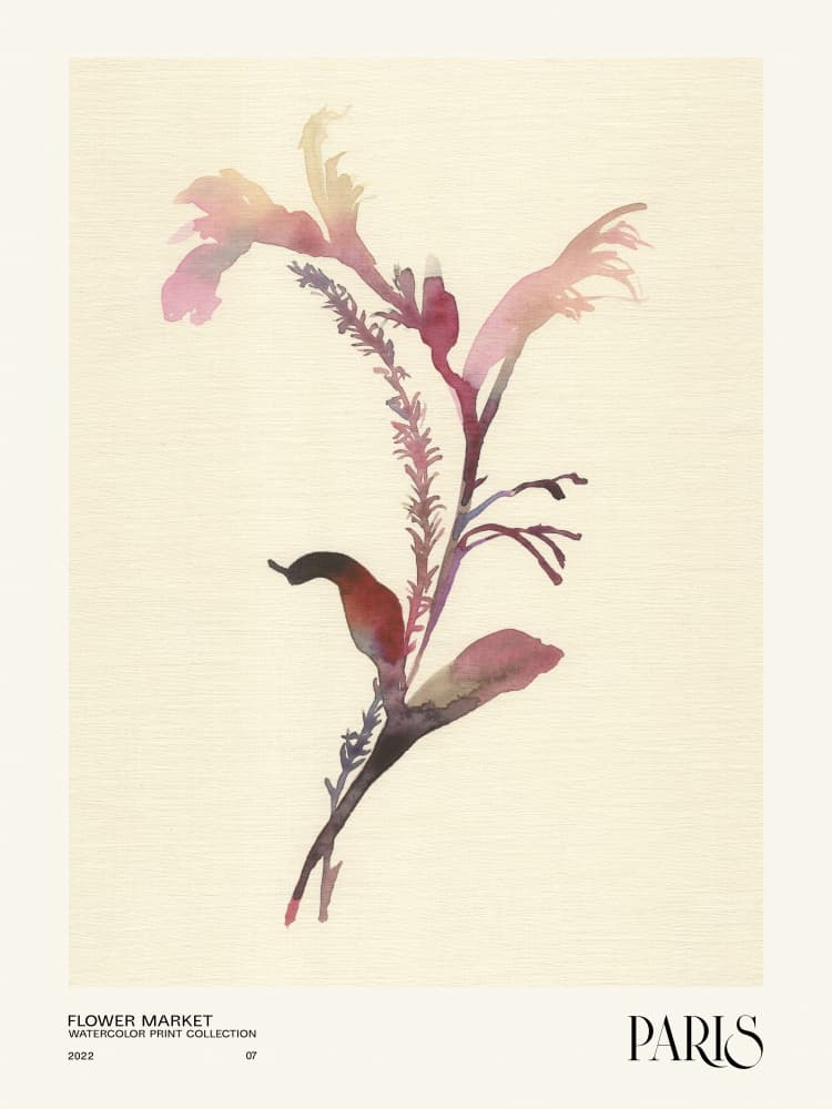 Watercolor print collection. Flower market - Paris by NKTN — canvas wall art