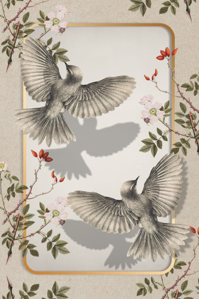 Vintage Botanical Birds by Marja van den Hurk — canvas wall art