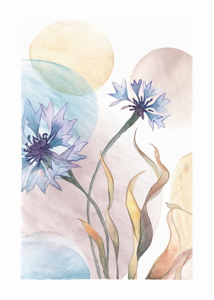 Delicate Blue Cornflowers by Paperago — canvas wall art