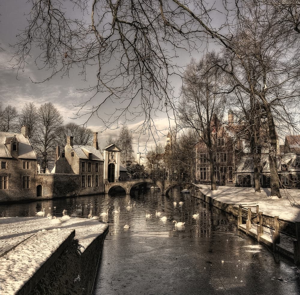 Winter Canal Swans by Yvette Depaepe — canvas wall art