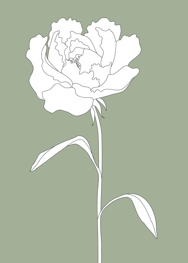 Elegant White Peony by Old Artists Studio II — canvas wall art