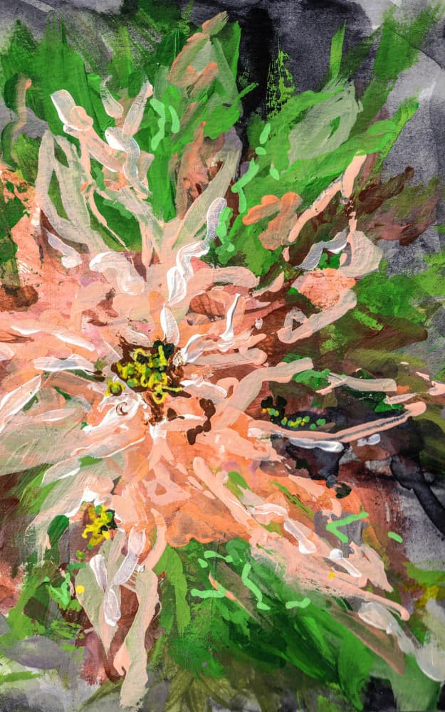 Vibrant Peach Flower by Lori Ann Folz — canvas wall art