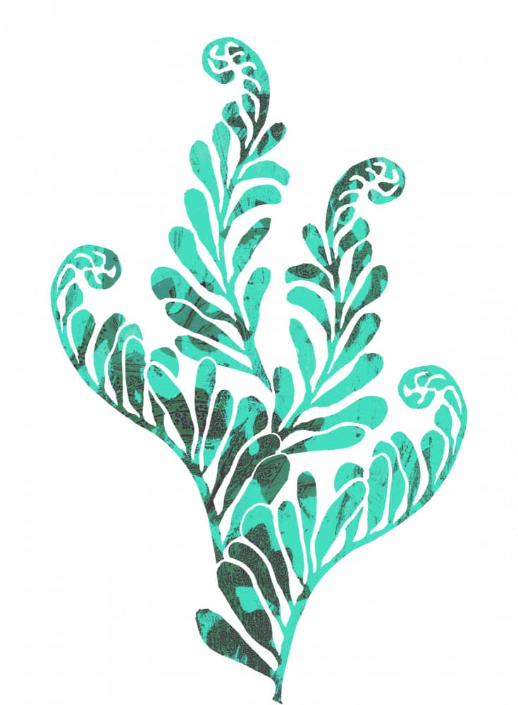 Lush Teal Botanicals by Melissa McKeagney — canvas wall art