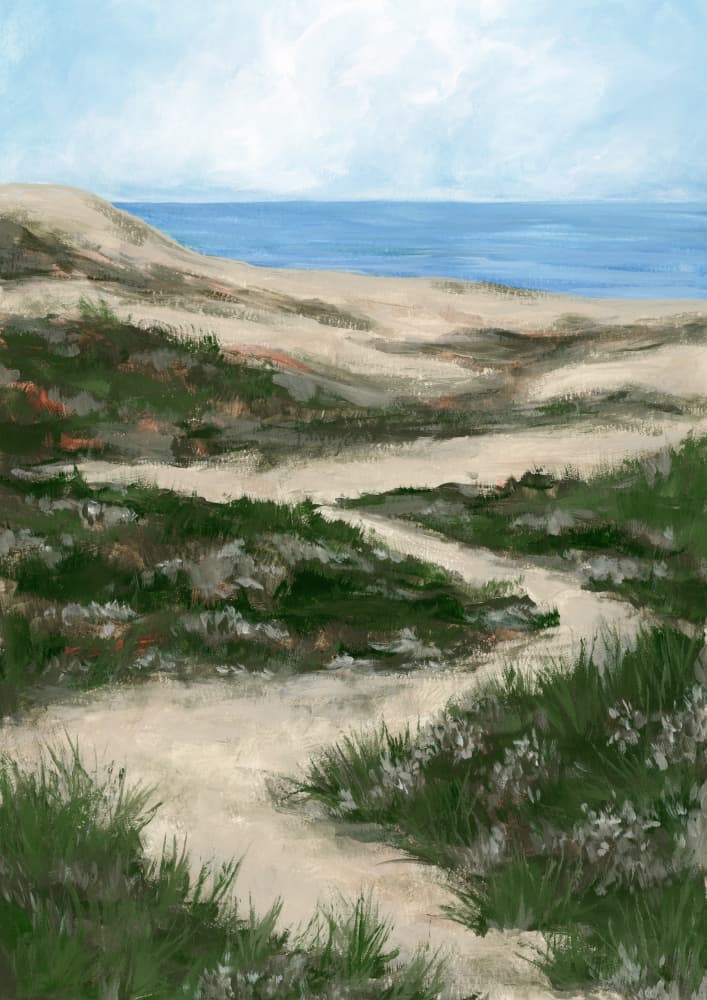 Winding Coastal Path by Rosana Laiz Blursbyai — canvas wall art