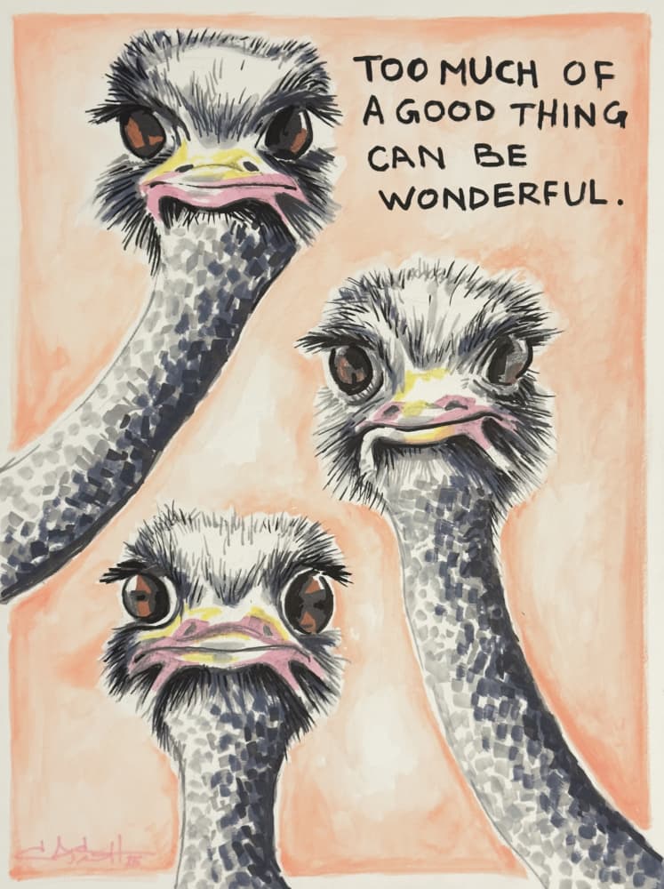 Wonderful Ostrich Trio by Suzan Habib — canvas wall art