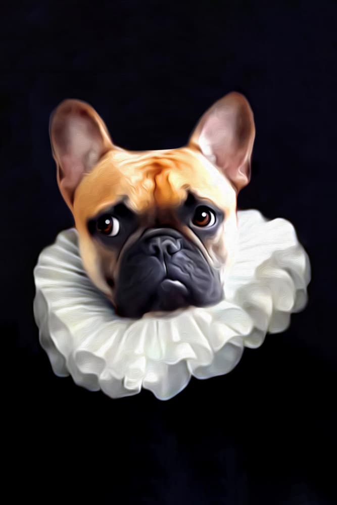 Pipo by Tein Lucasson — canvas wall art