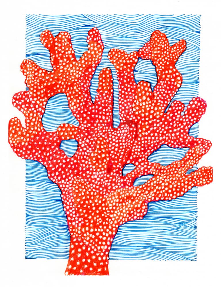 Vibrant Red Coral by Katie O'Shea — canvas wall art