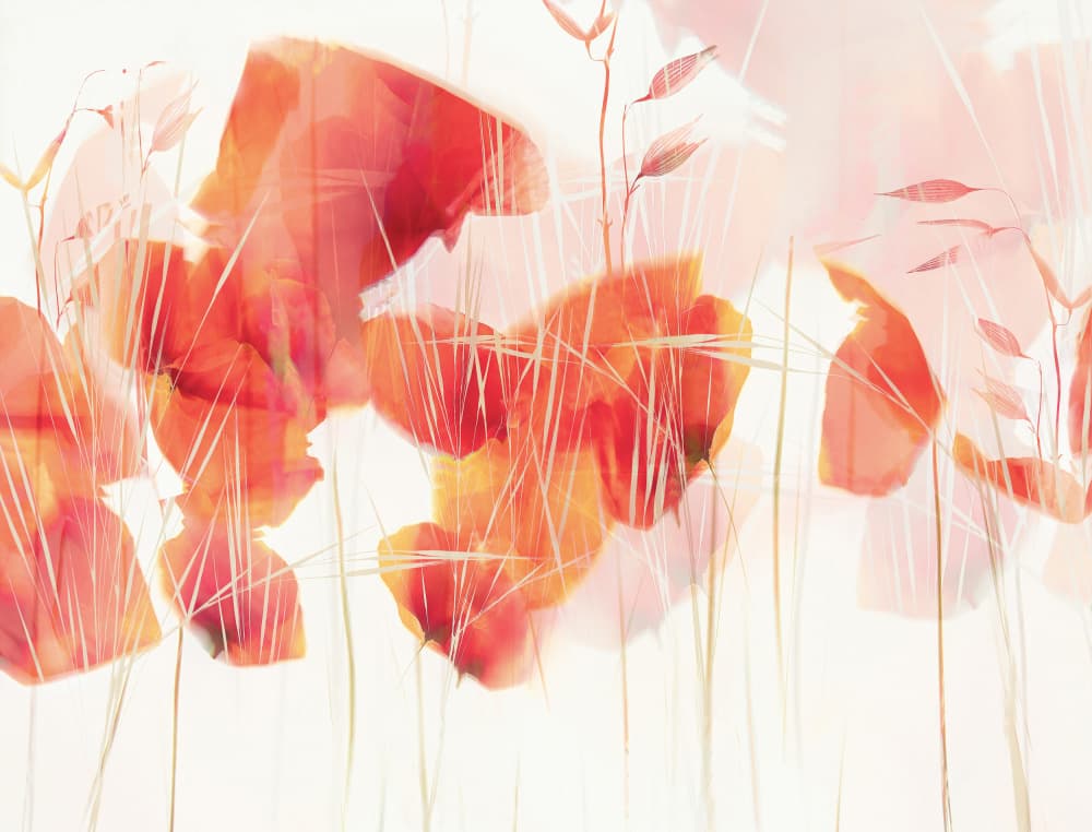 Modern poppies by Nel Talen — canvas wall art