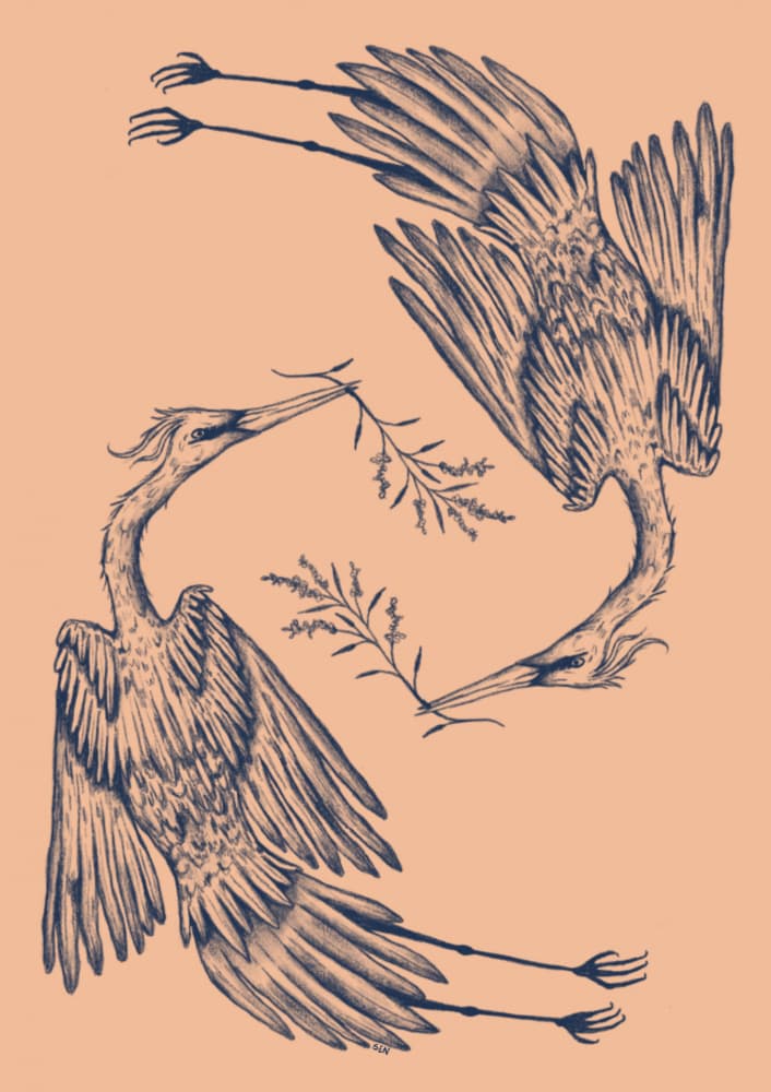 Two Elegant Cranes by Senna-Mia Rahner — canvas wall art