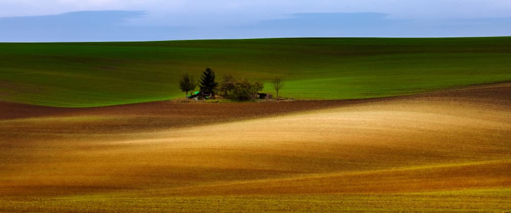 Green and Brown Fields by Slawomir Kowalczyk AFRP  FIAP  IAAP — canvas wall art
