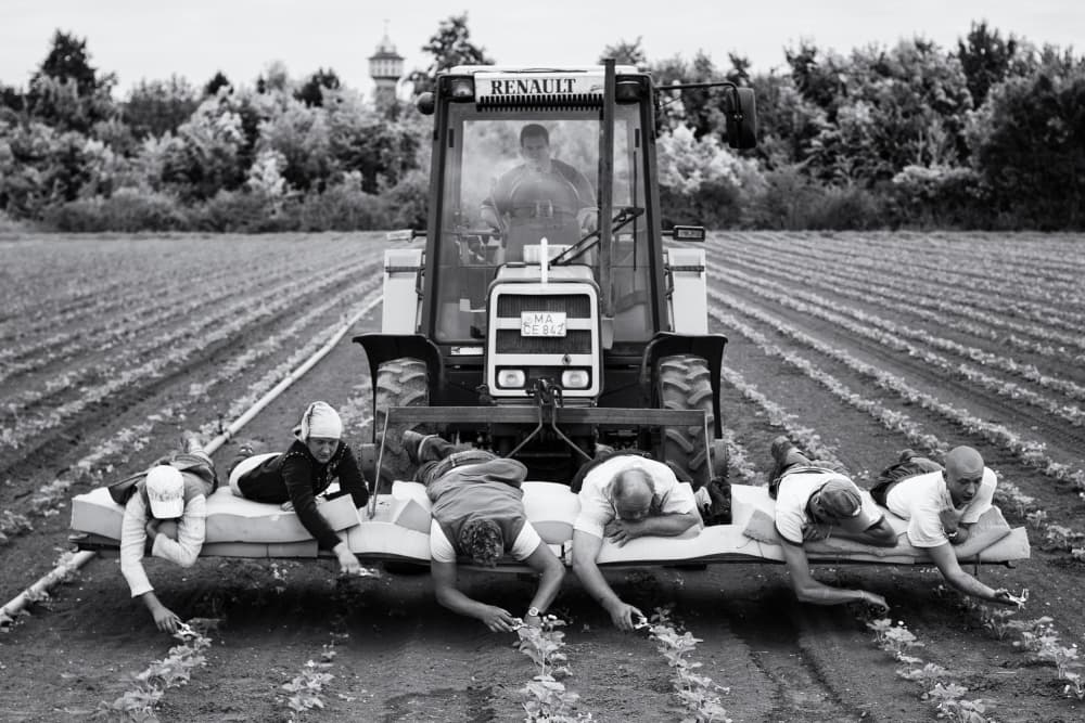 Tractor Field Work by Danna Sladjana — canvas wall art