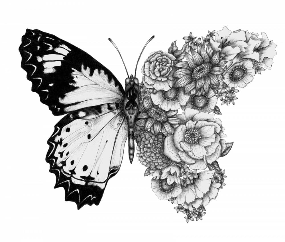 Monochrome Bloom Butterfly by EC Mazur — canvas wall art