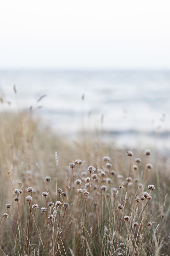 Coast Landscapes 4 by Mareike Böhmer — canvas wall art