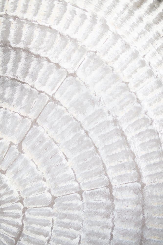 White Abstract Texture by Old Artists Studio III — canvas wall art