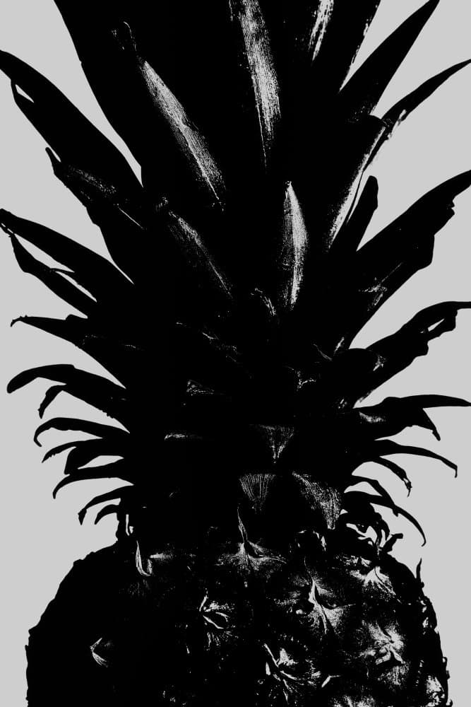 Bold Black Pineapple by Old Artists Studio III — canvas wall art