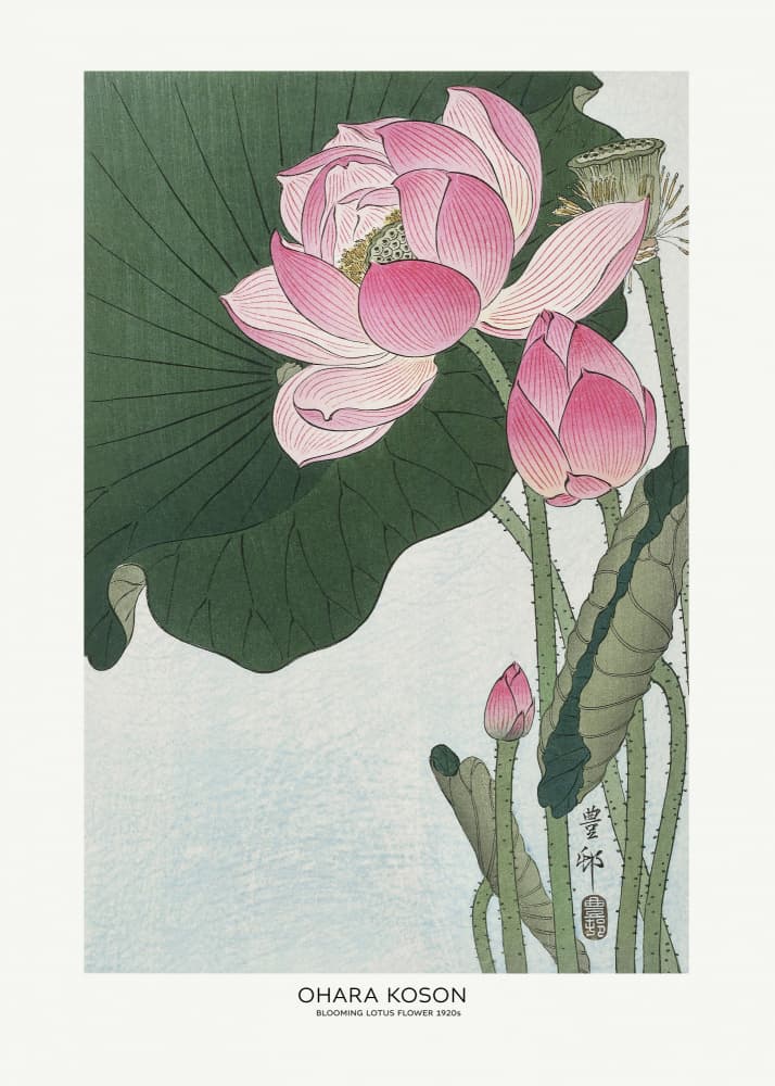 Blooming Lotus Flowers by Ohara Koson — canvas wall art