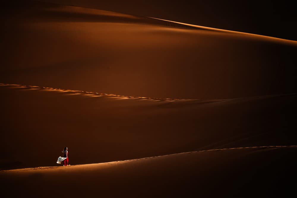 Golden Desert Walker by Gina Buliga — canvas wall art
