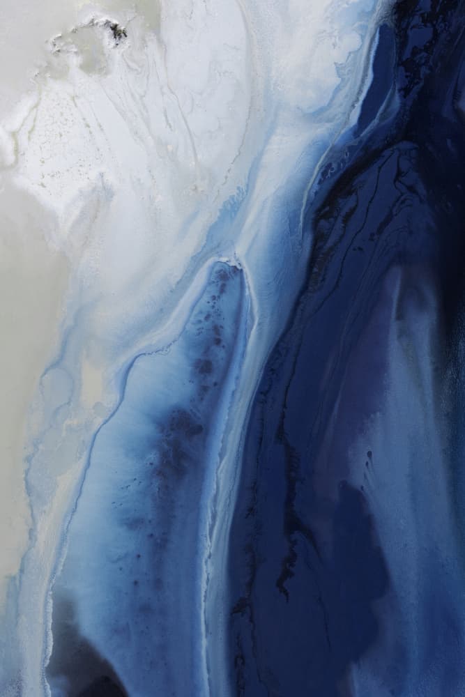 Subtle -  Marine Majesty 2 by Petra Meikle de Vlas — canvas wall art