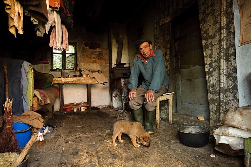 Old Man And Puppy by Vlad Dumitrescu — canvas wall art