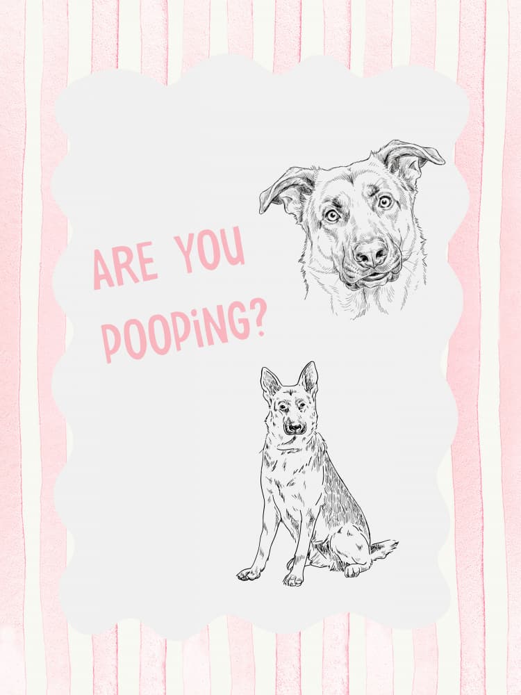 Funny Dogs Query by Jolly and Dash — canvas wall art