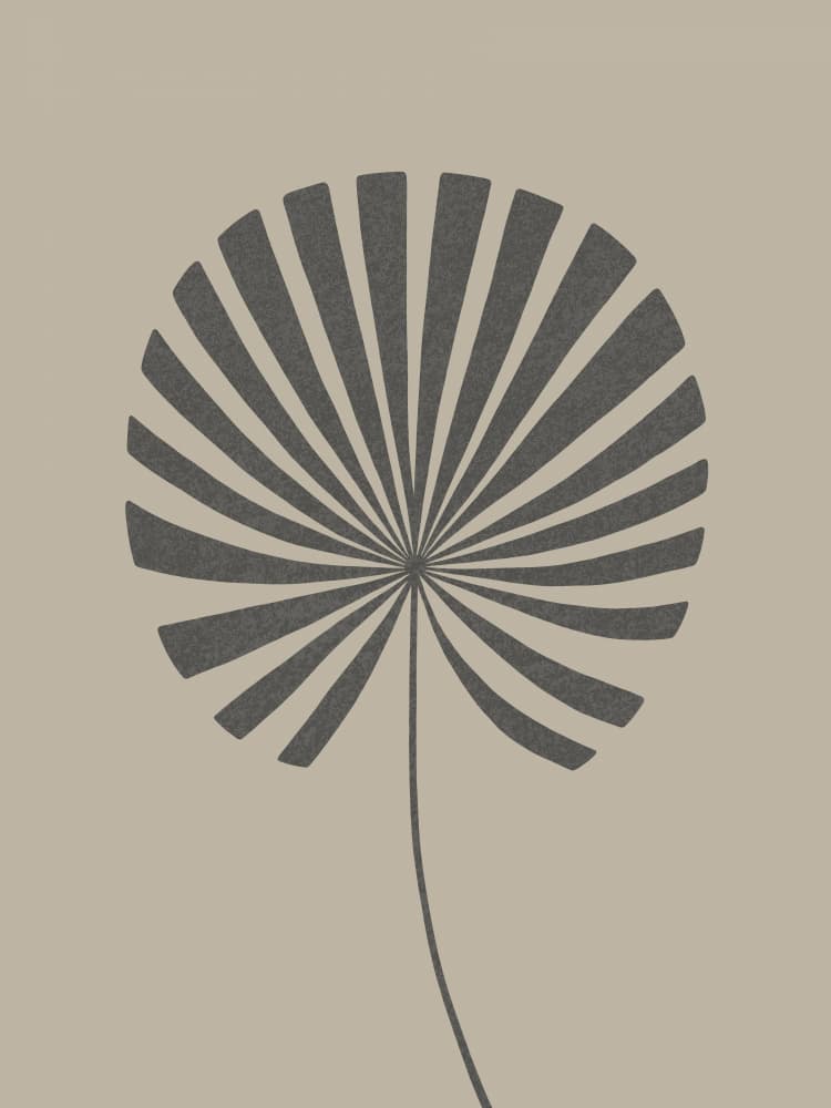 Organic Fan Leaf by Krisztina Jung — canvas wall art