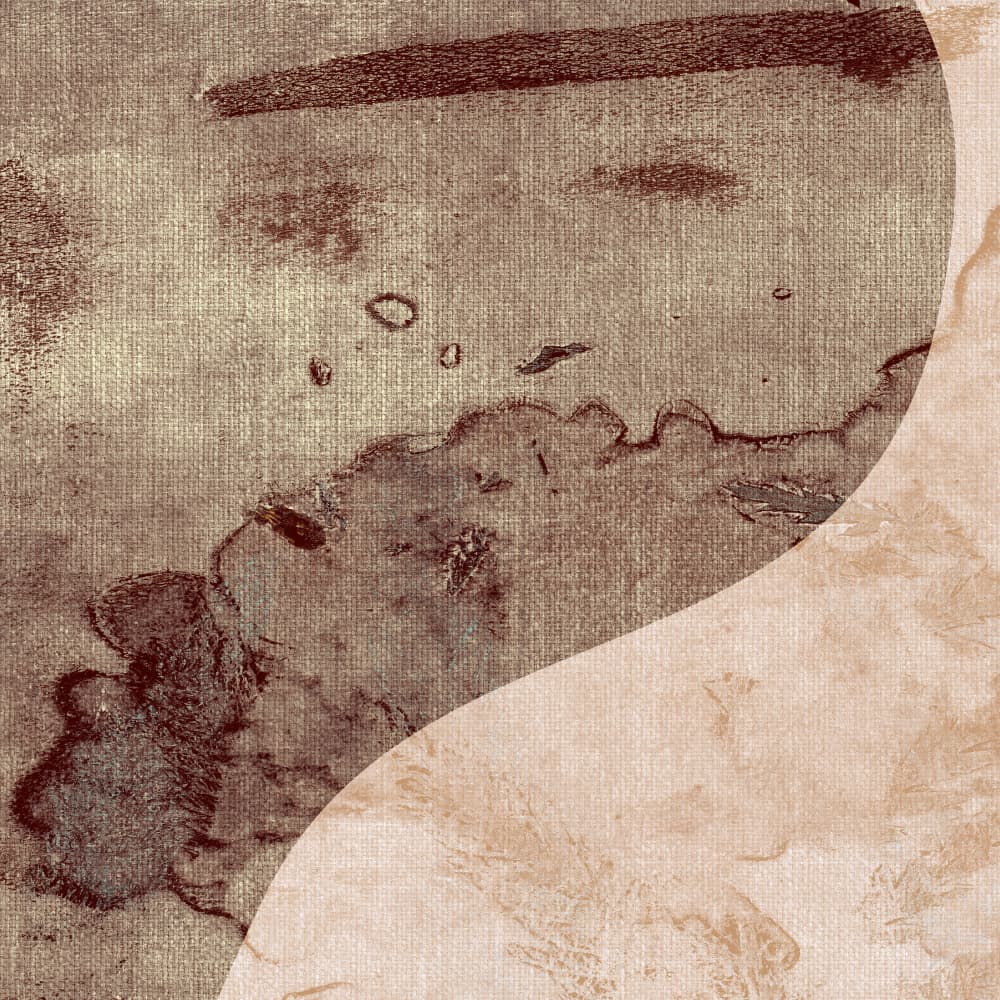 Earthy Organic Flow by Dina Dankers — canvas wall art
