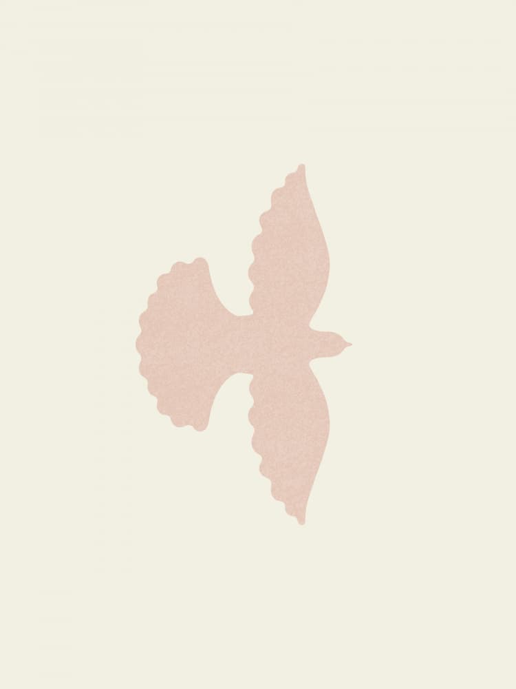 Peaceful Pink Dove by Krisztina Jung — canvas wall art