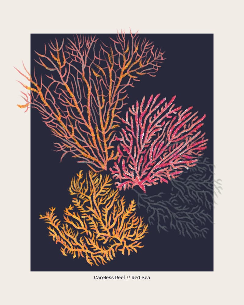 Colorful Red Sea Coral by Alexandra Weise — canvas wall art