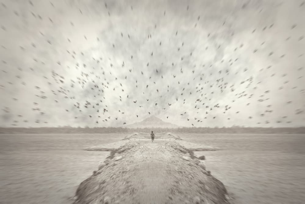 Solitary Path Birds by Mohamed Fawzy Kutp — canvas wall art