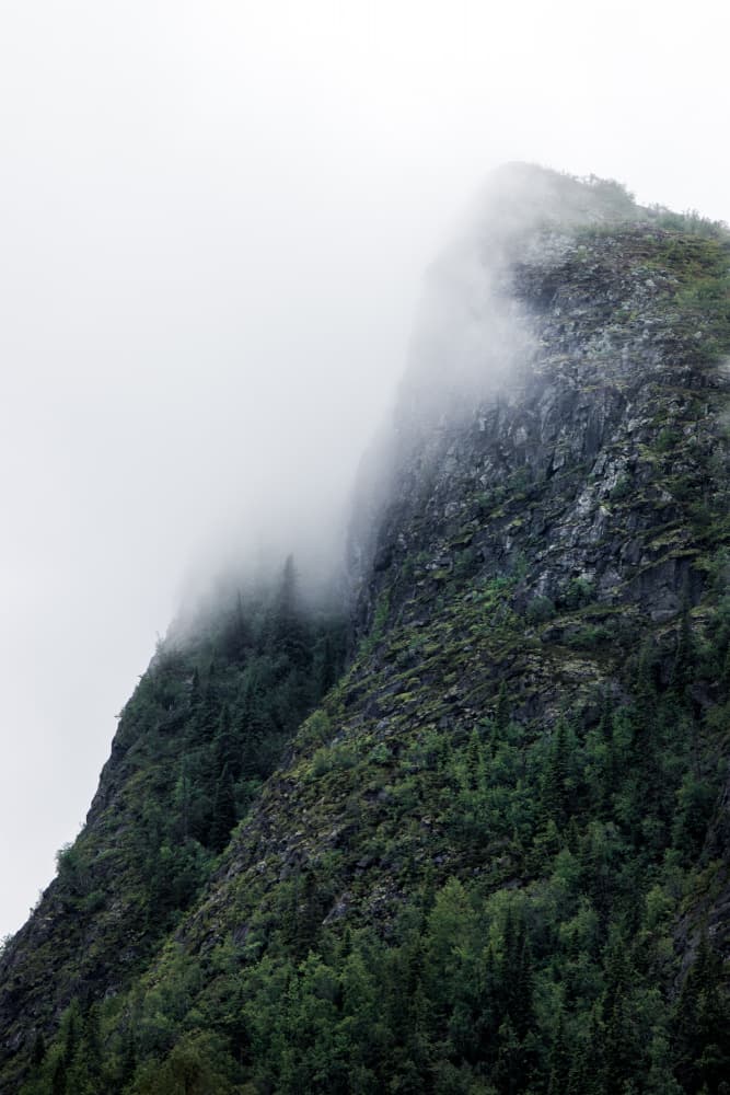 Misty Mountain Forest by EMELIEmaria — canvas wall art