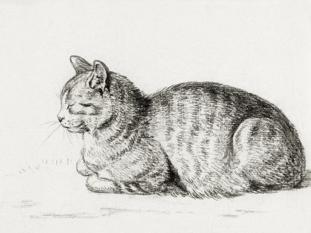 Lying Cat (1811) by Jean Bernard — canvas wall art