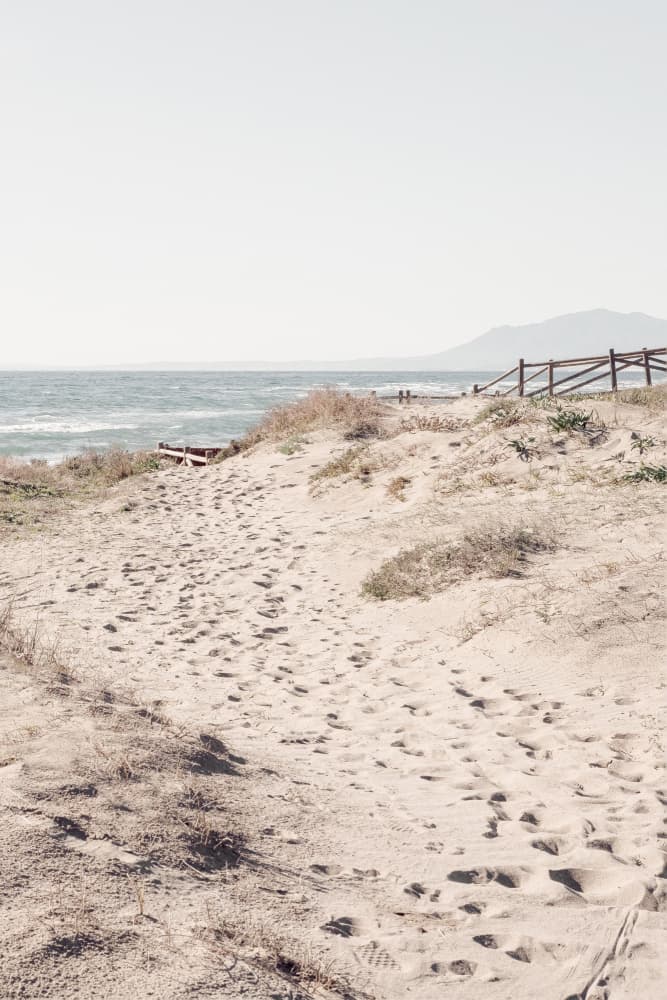 Serene Beach Path by Old Artists Studio III — canvas wall art