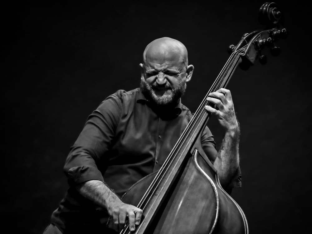 Intense Jazz Bassist by Dragoslav Nedici — canvas wall art