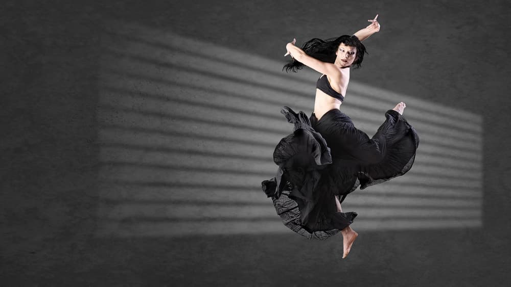 Shadow Dance Movement by Jovelino — canvas wall art