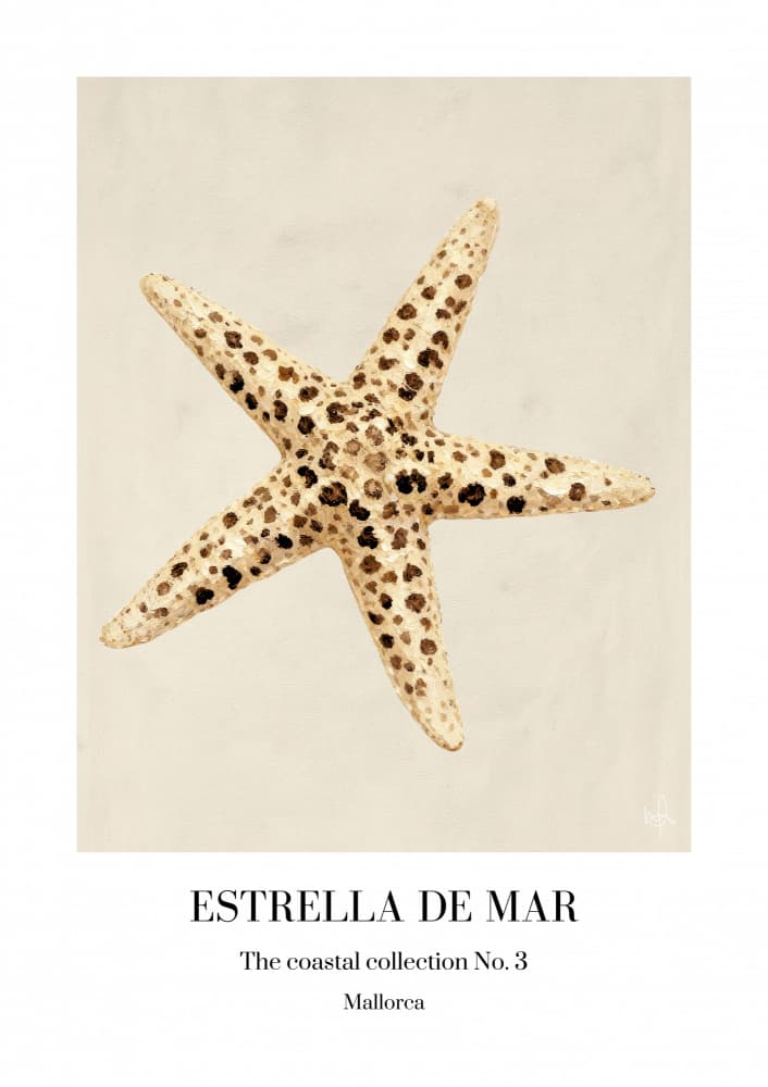 Spotted Starfish Illustration by Merel Takken — canvas wall art