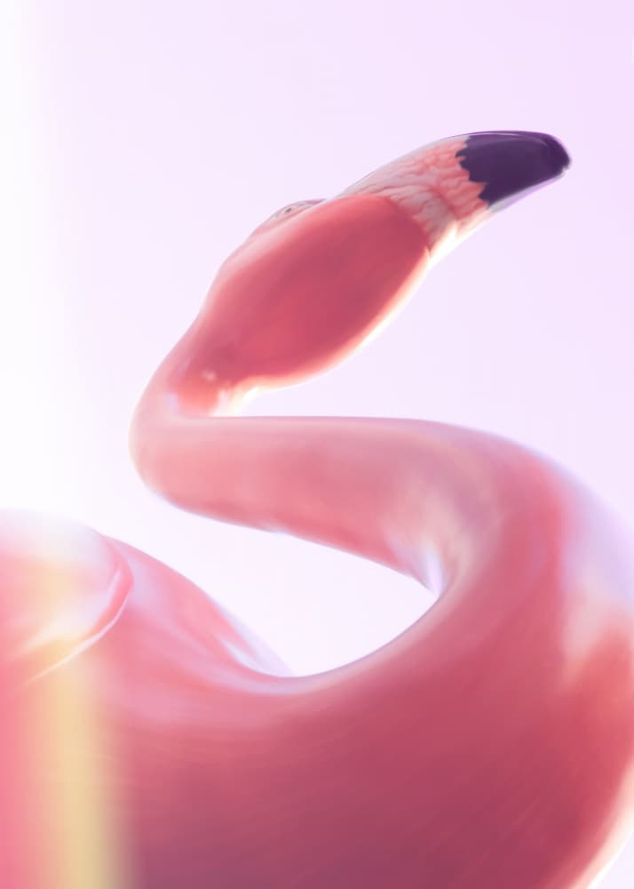 Graceful Pink Flamingo by Old Artists Studio III — canvas wall art