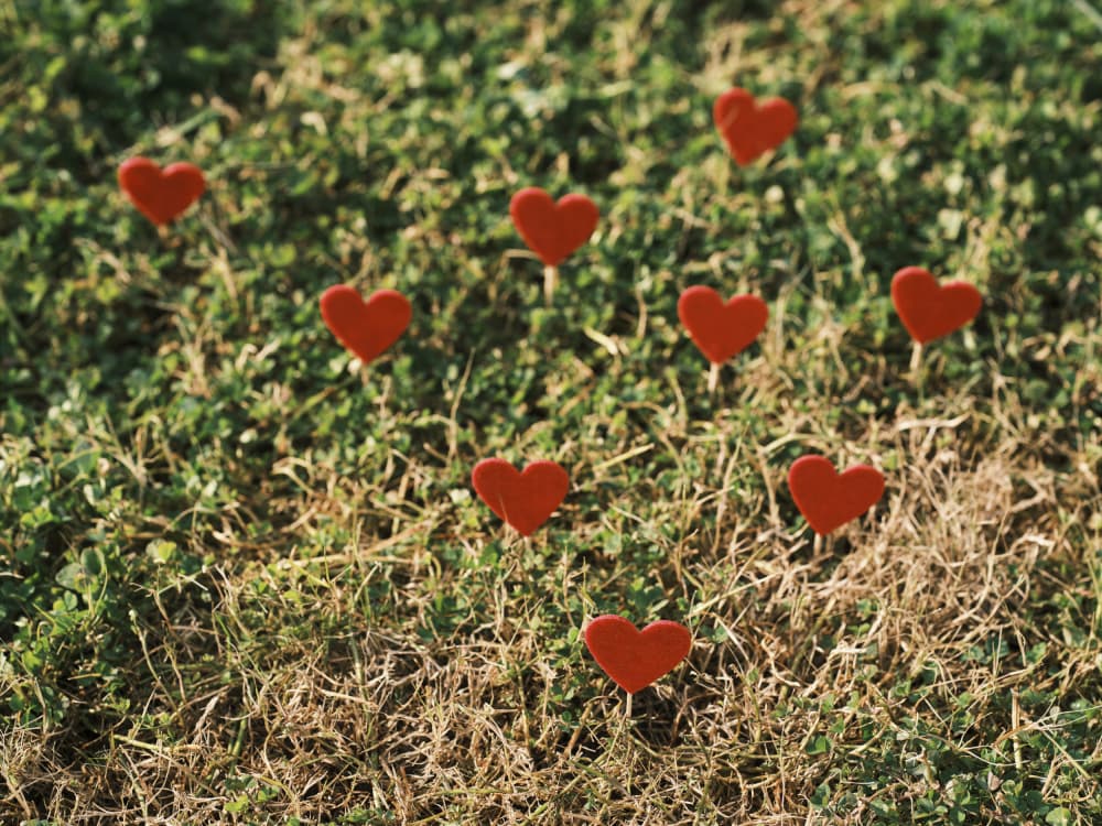 Romantic Red Hearts by engin akyurt — canvas wall art