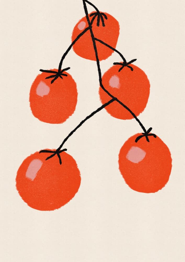 Fresh Tomato Vine by Nicholas — canvas wall art