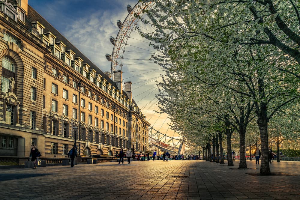 London Eye Spring Blossoms by Nader El Assy — canvas wall art