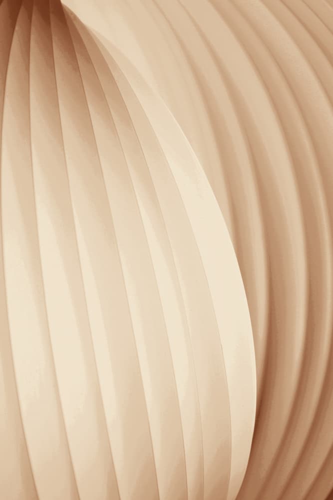 Soft Organic Curves by Christina Sillen — canvas wall art