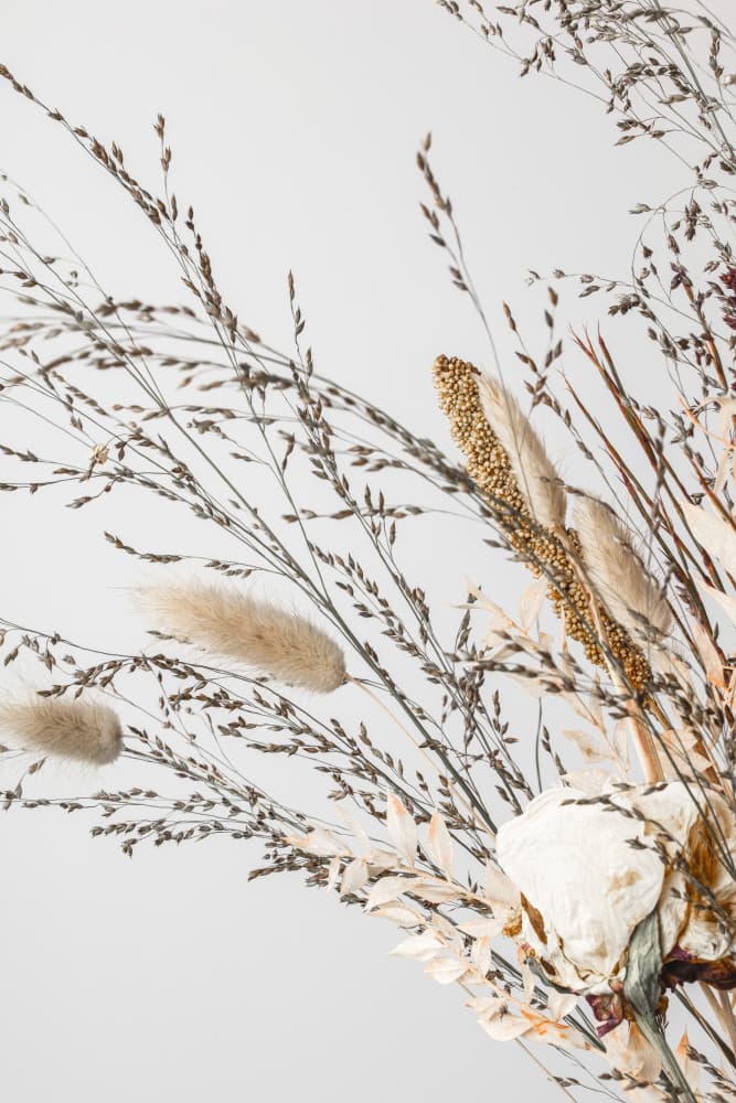 White Rose Dried Bouquet by Old Artists Studio III — canvas wall art