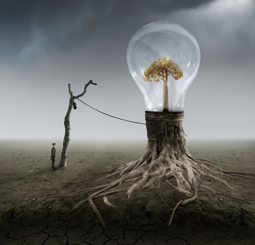Lightbulb Tree Idea by Biao  Huang — canvas wall art