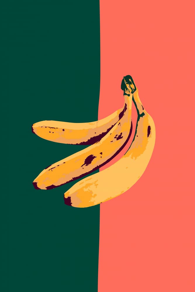 Bold Bananas Split by Karen Menzenbach — canvas wall art