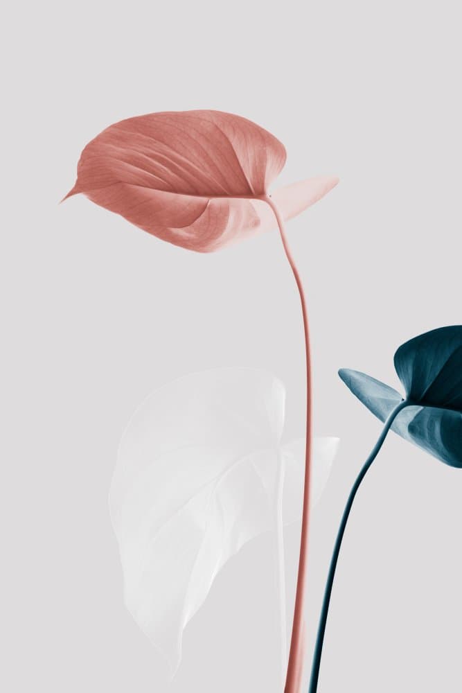 Muted Botanical Trio by Old Artists Studio III — canvas wall art