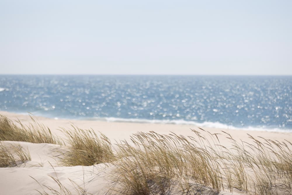 Coast Landscapes 3 by Mareike Böhmer — canvas wall art