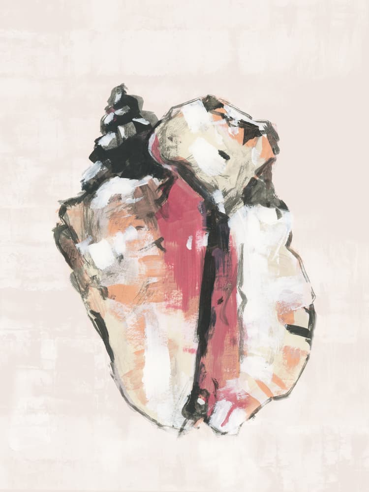 Abstract Conch Shell by cartissi — canvas wall art